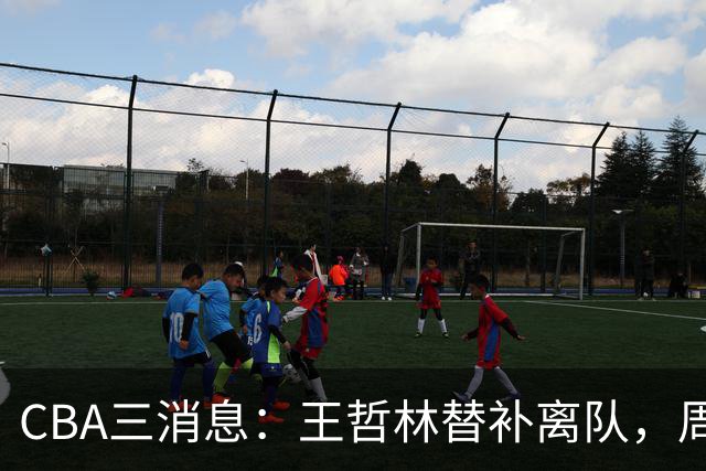 CBA三消息：王哲林替补离队，周鹏左右为难，广东给徐杰找接班人